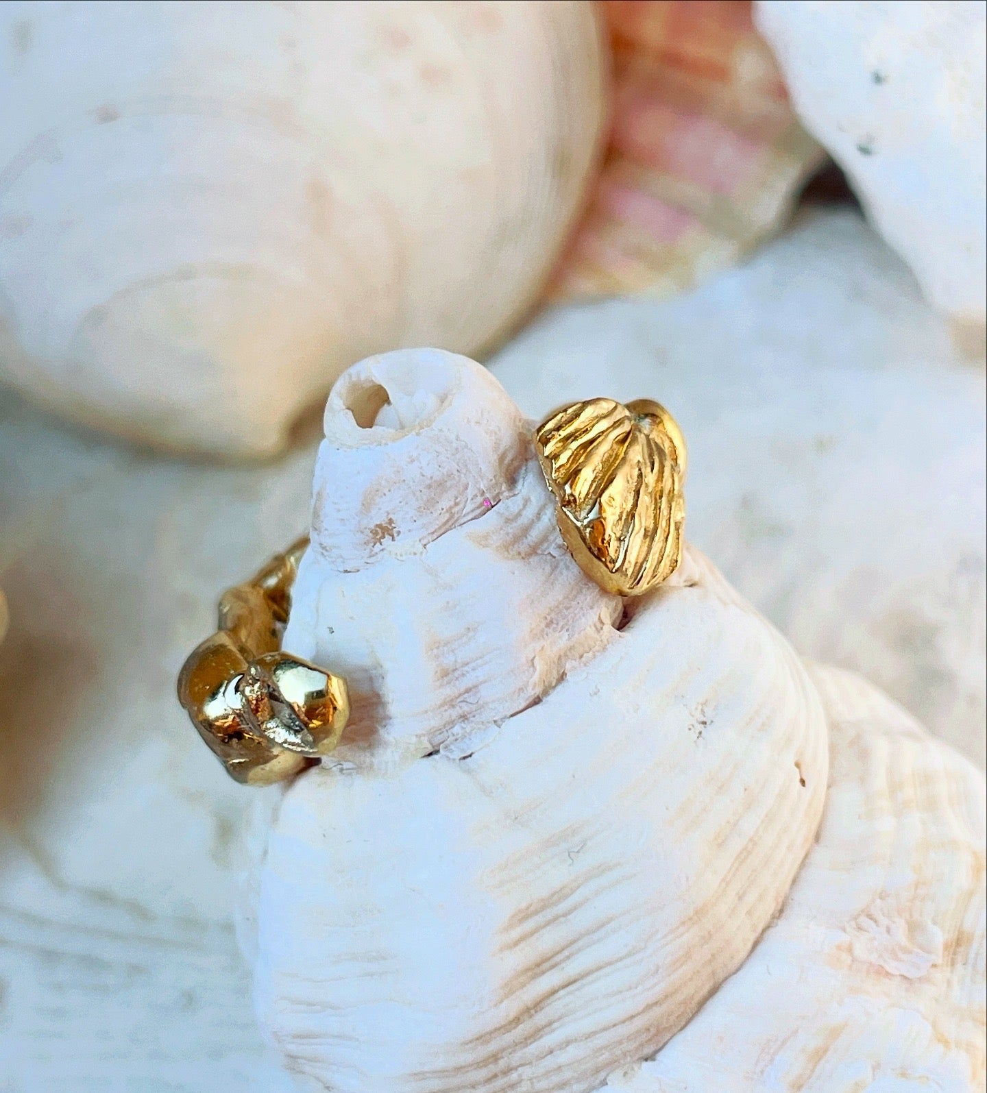 Encrusted Open Shell and Oyster Ring