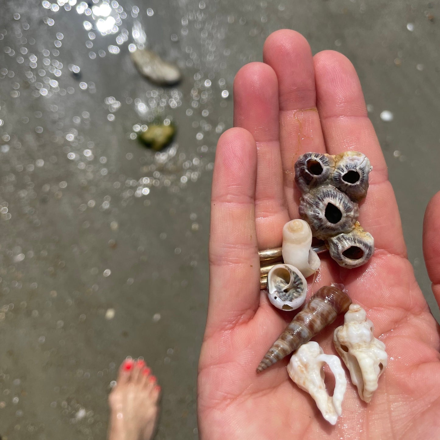 Beach Finds wide band ring